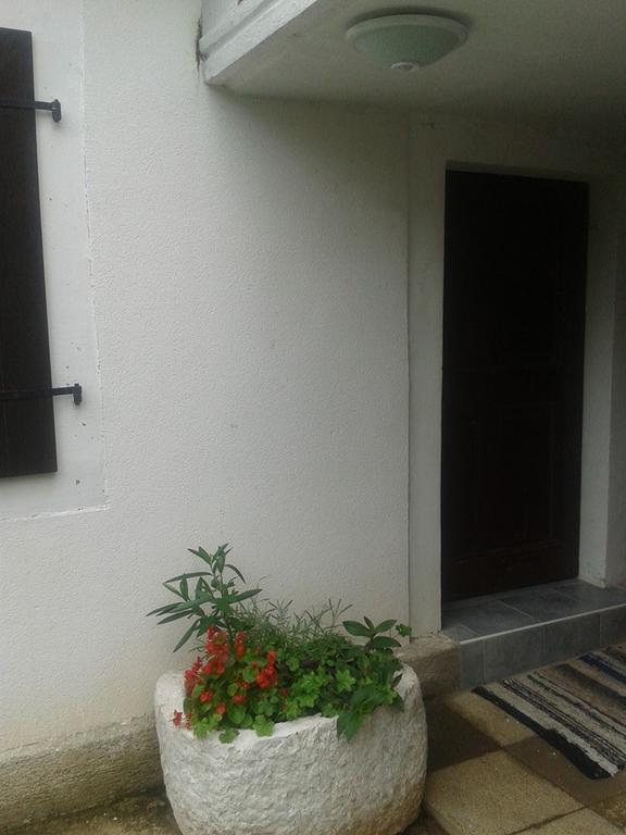 Apartment Kalikut Beli Zimmer foto